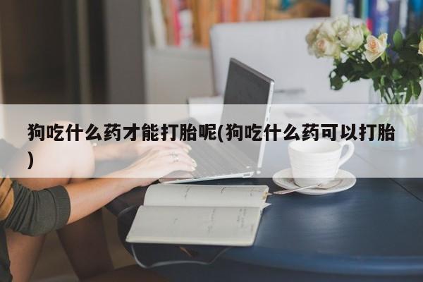 哪里有米非司酮片,狗吃什么药才能打胎呢(狗吃什么药可以打胎)