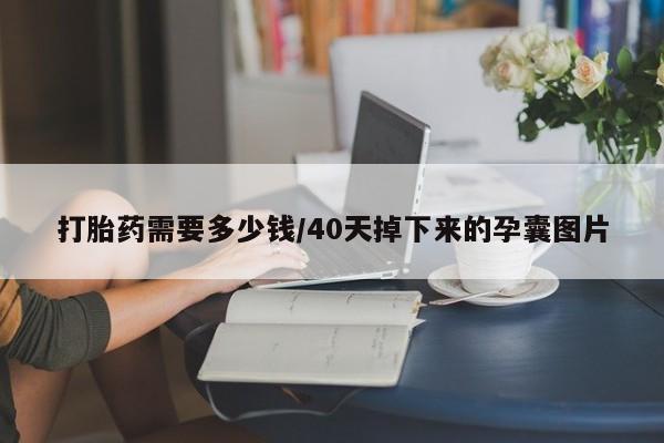 哪里有米非司酮片,打胎药需要多少钱/40天掉下来的孕囊图片